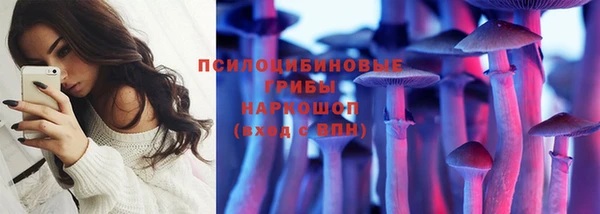 ПСИЛОЦИБИНОВЫЕ ГРИБЫ Покров