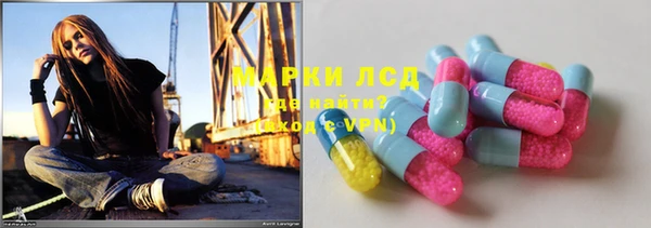 ПСИЛОЦИБИНОВЫЕ ГРИБЫ Покров