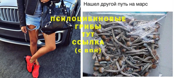 ПСИЛОЦИБИНОВЫЕ ГРИБЫ Покров