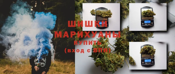 ПСИЛОЦИБИНОВЫЕ ГРИБЫ Покров