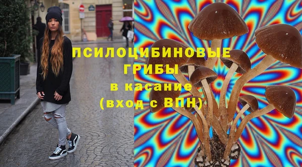 2c-b Покачи